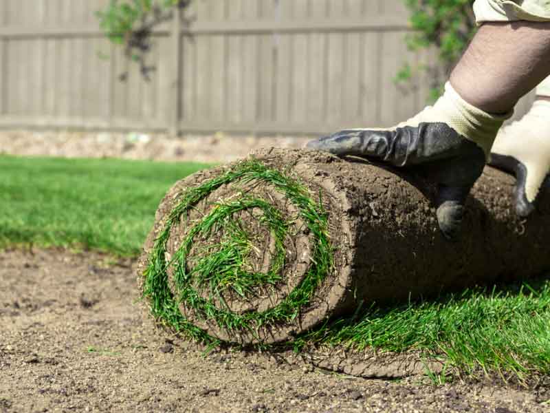 Turfing